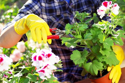 Accessible landscaping Wallington webpage opening section