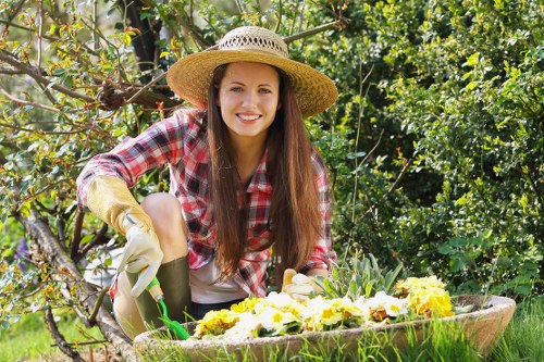 Cookies policy overview for Landscaping Wallington website