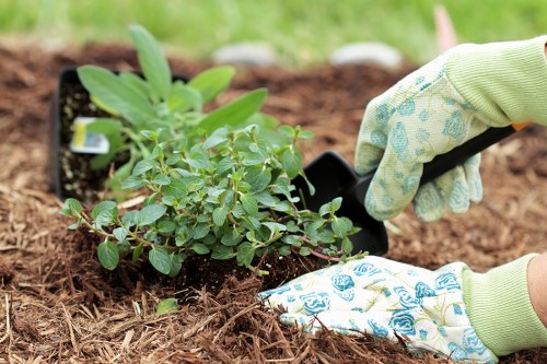 Risk assessment for a landscaping project in Wallington
