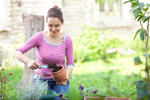 Local patio installation materials and surface options