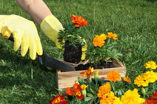 Local landscaping team planning planting and lawn improvements for a Wallington property