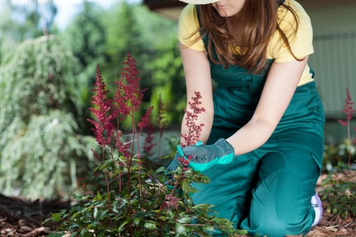 Commitment to dignity, fairness, and ethical landscaping practices