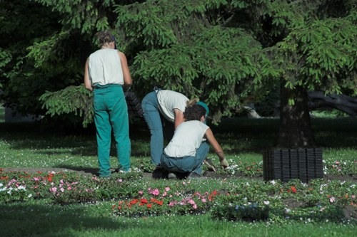 Site investigation for a landscaping complaint with evidence review
