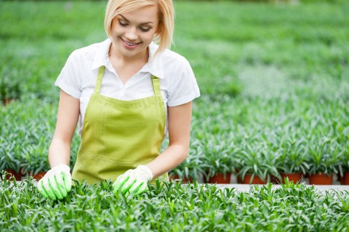 Transparent landscaping pricing for local homes and busy streets