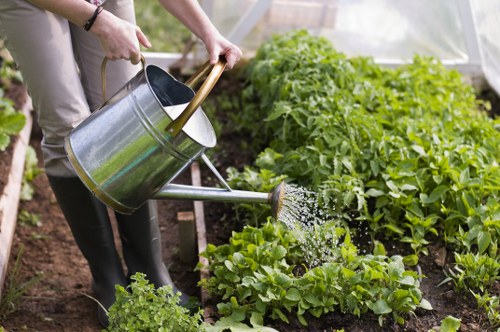 Supplier due diligence and ethical sourcing review in landscaping
