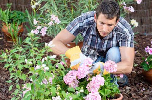 Governing law and general contract provisions for landscaping services